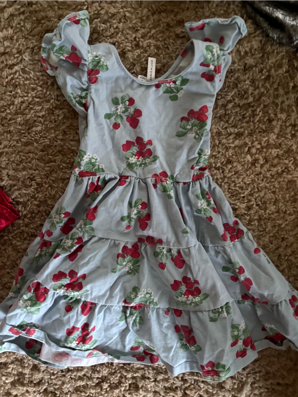 Janie and Jack Light Blue Dress with Red Floral Print